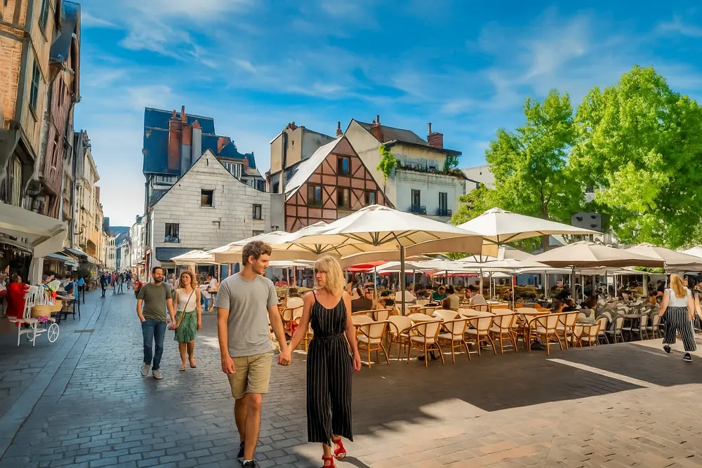 meilleur site rencontre cougar tours, rencontre couguar, bar cougar tours